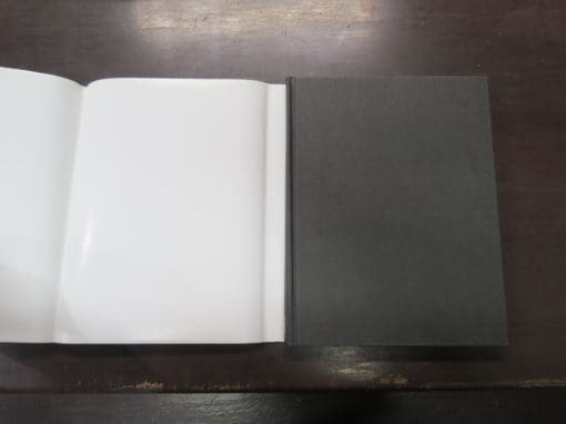 Vicente Aleixandre, Destruction of Love, English translations and illustrations by Robert G. Mowry - Image 7