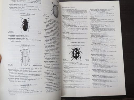 G. Kuschel, Beetles in a suburban environment: a New Zealand case study, The identity and status of Coleoptera in the natural and modified habitas of Lynfield, Auckland (1974- 1989) - Image 3