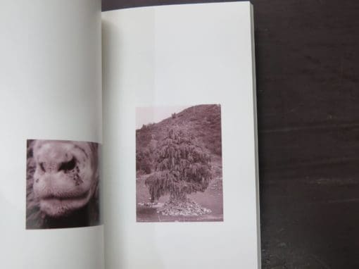 How To Occupy Our Selves, David Howard, Fiona Pardington - Image 4