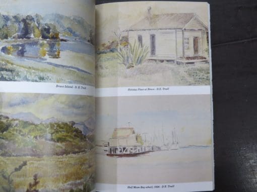 Sheila Natusch, An Island called Home, Rakiura, New Zealand, with paintings by D. E. Traill - Image 6
