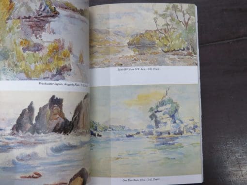 Sheila Natusch, An Island called Home, Rakiura, New Zealand, with paintings by D. E. Traill - Image 5