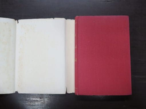 Elizabeth Goudge, God So Loved The World - Image 6