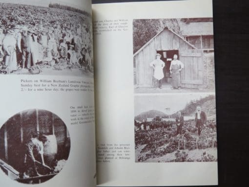 Dick Scott, Winemakers Of New Zealand - Image 3