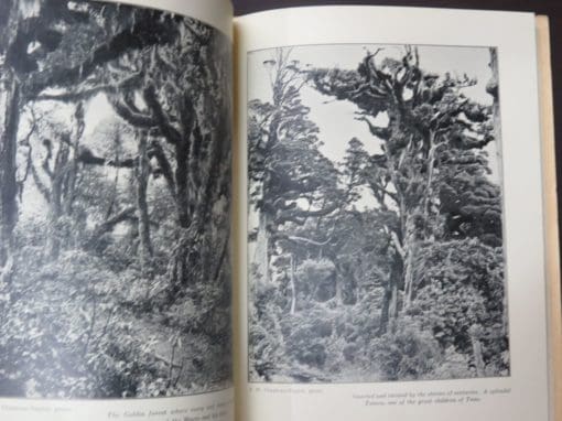 Herbert Mace, Egmont, And The Children of the Mountain Mist - Image 3