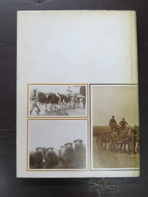 G. L. Morrison, J. F. McArthur, One Hundred Grand Parades, A Centennial History of the Gore A  & P Association 1882 -1982 - Image 13