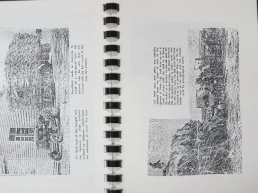 Margaret Trotter, The Forgotten Flax Fields, Linen Flax in the South - Image 3