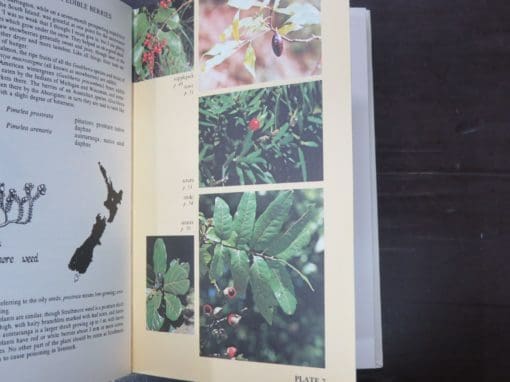 Andrew Crowe, A Field Guide To The Native Edible Plants of New Zealand, Including those plants eaten by the Maori, - Image 3