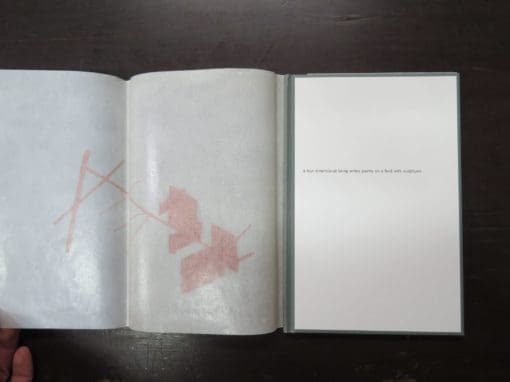Charles Ray, curator, A Four Dimensional Being Writes Poetry On A Field With Sculptures - Image 5
