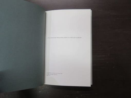 Charles Ray, curator, A Four Dimensional Being Writes Poetry On A Field With Sculptures - Image 4