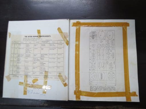 Rt. Rev. C. W. Leadbeater, The Chakras, A Monograph, - Image 9