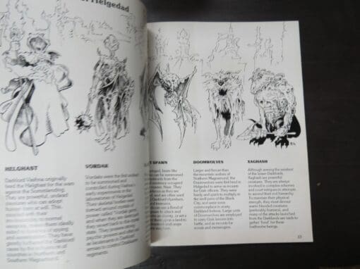 Joe Dever, Gary Chalk, The Complete Guide To The World of Lone Wolf & Grey Star, The Magnamund Companion - Image 4