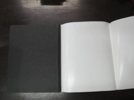 Keewaydinoquay Peschel, Puhpohwee for the People, A Narrative Account of Fungi Uses Among the Anishinaabeg - Image 3