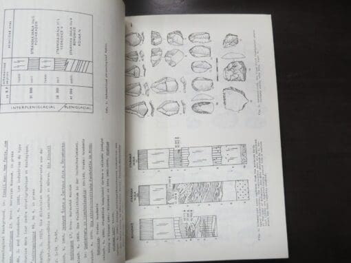 Michael Day, Robert Foley, The Pleistocene Perspective, Volume 1, The World Archaeological Congress 1-7 September 1986 - Image 3