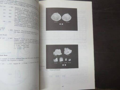 Pamela Rumball Rogers, et al, Tung Wan Tsai: A Bronze Age and Han Period Coastline Site, Antiquities and Monuments Office, Occasional Paper NO.3 - Image 5