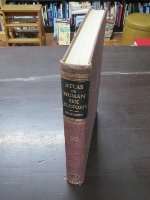 Robert Latou Dickinson, Human Sex Anatomy, A Topographical Hand Atlas, Second Edition - Image 16