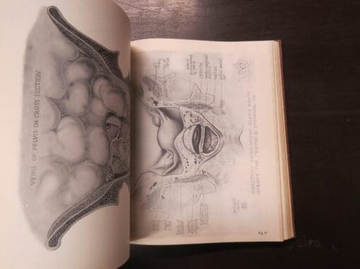 Robert Latou Dickinson, Human Sex Anatomy, A Topographical Hand Atlas, Second Edition - Image 7