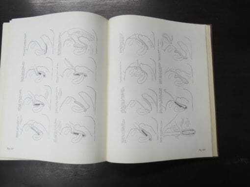Robert Latou Dickinson, Human Sex Anatomy, A Topographical Hand Atlas, Second Edition - Image 4