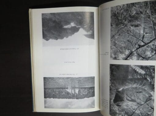 Robert Wilson, Bird Islands Of New Zealand - Image 7