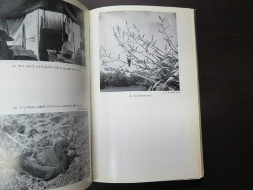 Robert Wilson, Bird Islands Of New Zealand - Image 6