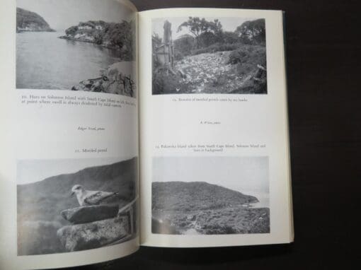 Robert Wilson, Bird Islands Of New Zealand - Image 5