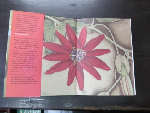 Jill Trevelyan, Rita Angus, An Artist's Life - Image 13