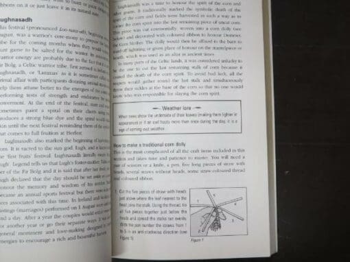 Andy Baggott, The Celtic Wheel of Life, A Path To Health, Happiness and Fulfilment - Image 4