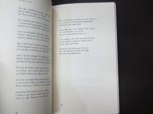 Brian Turner, All That Blue Can Be - Image 4