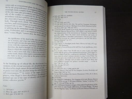 Sean Kelly, Individuation And The Absolute, Hegel, Jung and the Path Toward Wholeness - Image 4
