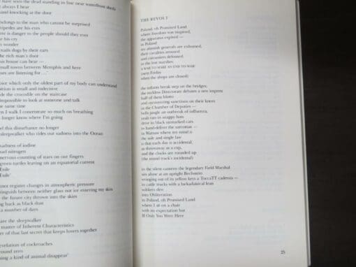 Alan Brunton, Slow Passes, with an Introduction by Peter Simpson - Image 5