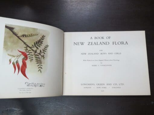 Mabel C. Coleclough, A Books Of New Zealand Flora, For New Zealand Boys And Girls, With Illustrations from or - Image 8
