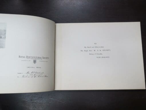 Mabel C. Coleclough, A Books Of New Zealand Flora, For New Zealand Boys And Girls, With Illustrations from or - Image 7