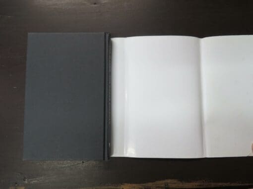 Ian Wedde, The Grass Catcher, A Digression About Home - Image 3