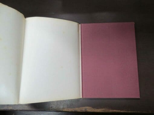 Margaret Mahy, The Wind Between the Stars, Pictures by Brian Froud - Image 11