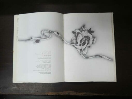 Margaret Mahy, The Wind Between the Stars, Pictures by Brian Froud - Image 8