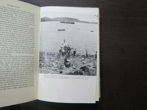 Tex Geddes, Hebridean Sharker - Image 5