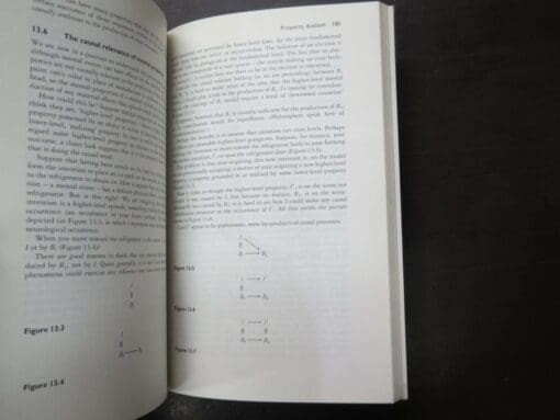 John Heil, Philosophy of Mind, a contemporary introduction, second edition - Image 3