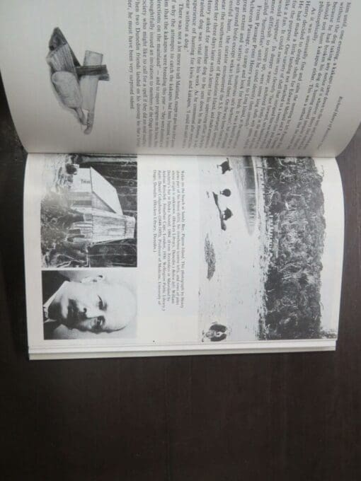 Susanne Hill, John Hill, Richard Henry of Resolution Island, A Biography - Image 8