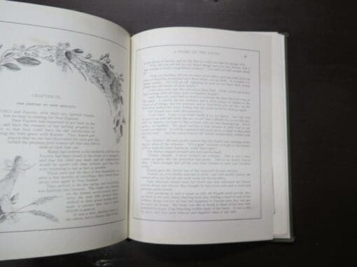 Mrs. Ambrose E. Moore, New Zealand Fairyland: A Story of the Caves, Illustrated by Miss E. C. Harris - Image 6