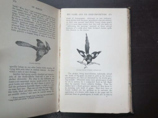 Abel Chapman, On Safari, Big Game Hunting In British East Africa, With Studies In Bird-Life, With 170 Illustrations by the Author and E. Caldwell, Sketches and Photographs - Image 4