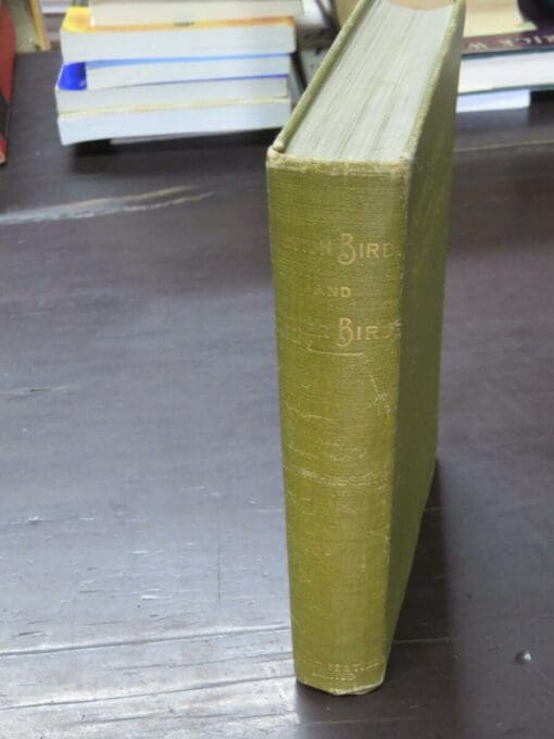 H. Guthrie-Smith, Mutton Birds And Other Birds - Image 12